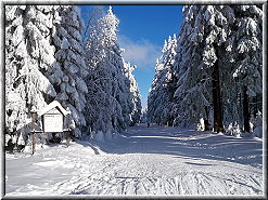 Winterimpressionen